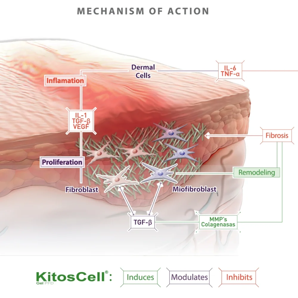 KitosCell-Q® Advanced Wound Care Gel – Tissue Regeneration with Pirfenidone 10g